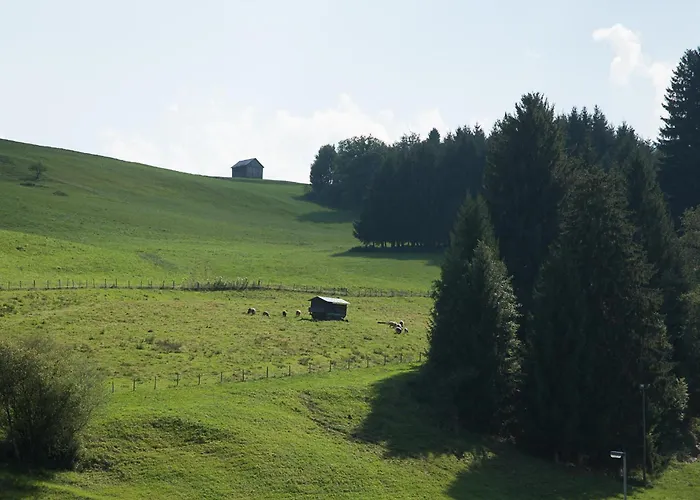 Gaisbock der Ferienhof